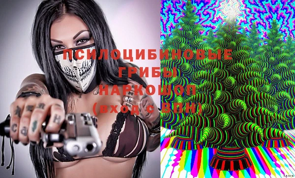 индика Абдулино